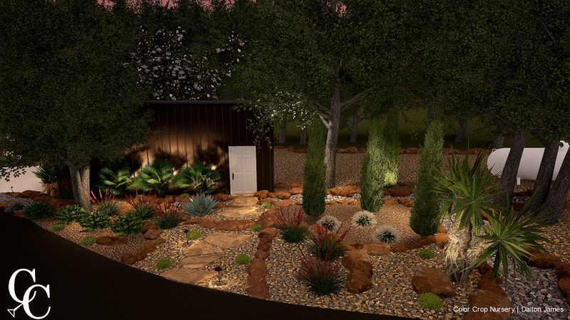 Custom 3D Xeriscape Design with Lighting